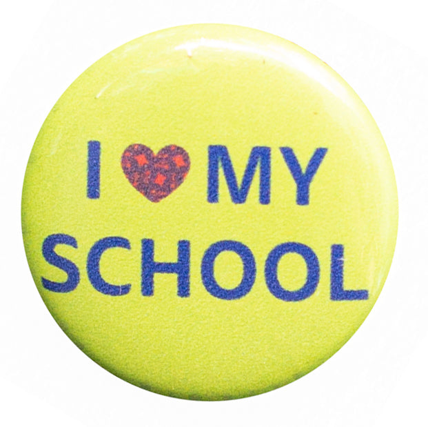 Schechter Pins